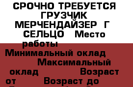 СРОЧНО ТРЕБУЕТСЯ ГРУЗЧИК-МЕРЧЕНДАЙЗЕР  Г. СЕЛЬЦО › Место работы ­ FIX PRICE › Минимальный оклад ­ 18 000 › Максимальный оклад ­ 19 000 › Возраст от ­ 18 › Возраст до ­ 45 - Брянская обл., Сельцо г. Работа » Вакансии   
